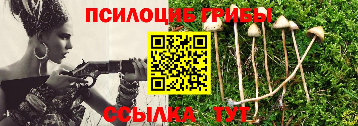 Красногорск  Галлюциногенные грибы Psilocybe  Галлюциногенные грибы Magic Shrooms  Вход с VPN 